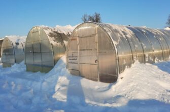 Кум-городник обігріває теплицю взимку без електрики та проводів – усередині тепло навіть при -40℃: чудо-трюк