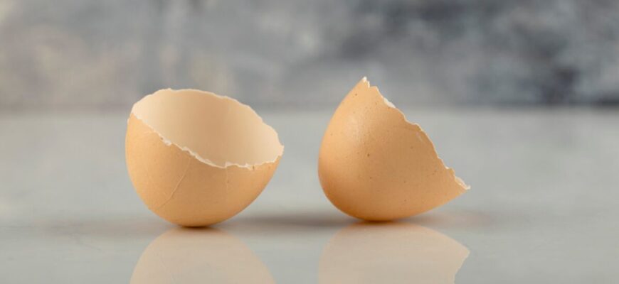 Не викидайте яєчну шкаралупу: в січні 2026 обов’язково розсипте її на городі — ось навіщо Не викидайте яєчну шкаралупу: в січні 2026 обов’язково розсипте її на городі — ось навіщо