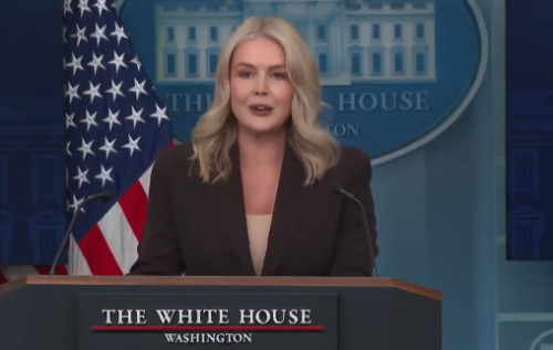 Білий дім про Гренландію: залучення Збройних сил США завжди є варіантом