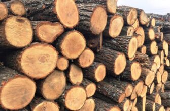 Дачникам на замітку! Названо дрова, які “забирають” тепло у будинку