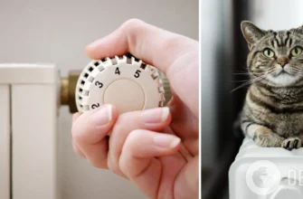 Стандартна процедура: у КМДА розповіли, для чого потрібно зливати воду в системі опалення під час аварій та похолодання