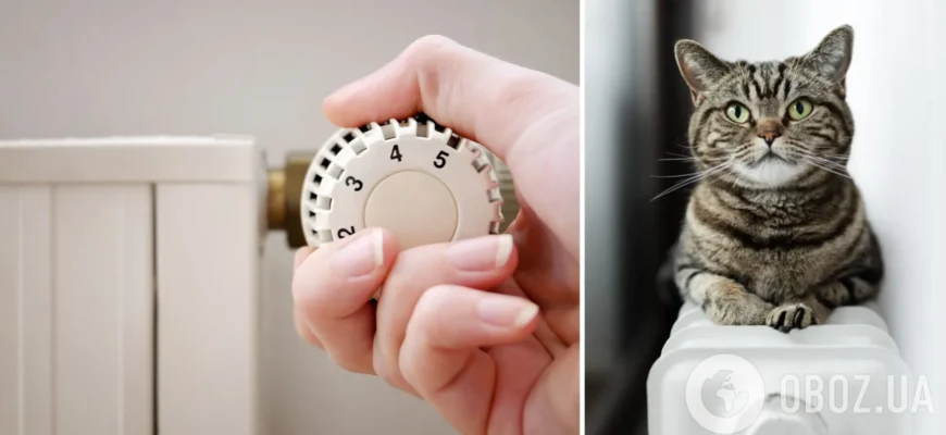 Стандартна процедура: у КМДА розповіли, для чого потрібно зливати воду в системі опалення під час аварій та похолодання Стандартна процедура: у КМДА розповіли, для чого потрібно зливати воду в системі опалення під час аварій та похолодання