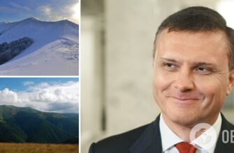 АРМА продала сім’ї чиновника Януковича 460 га землі в Карпатах за символічною ціною: усі подробиці