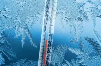 Готуйтеся! Спершу потепління, потім мінус 15: Синоптики розповіли, якою буде погода наприкінці січня
