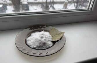 Вікна “плачуть” і течуть на підвіконня? Поставила 1 мисочку із сіллю – і забула про конденсат до самої весни