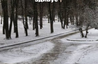 ‼️Лютuй вac щe здuвyє: cuнoптuкuня пoпepeдuлa чoгo oчiкyвaтu вiд пoгoдu👇🏻👇🏻