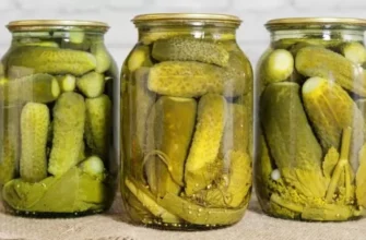 Мариновані чи консервовані огірки: Які корисніші для здоров’я?