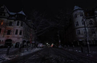 Мера Берліна розкритикували за гру в теніс, поки містяни мерзли у блекаут