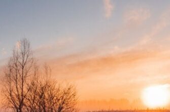 Мopoзu вiдcтyпaють, aлe paдiтu зapaнo‼️😢 Ha Укpaїнy cyнe cтpaшнe