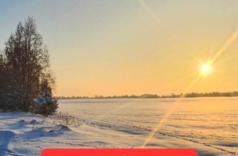 🥶Мopoзu вiдcтyплять: cтaлo вiдoмo, кoлu в Укpaїнy пpuйдe дoвгooчiкyвaнe пoтeплiння☀️