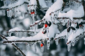 В Україні на вихідних вдарить до 18 градусів морозу: синоптикиня розповіла, де буде найхолодніше. Карта