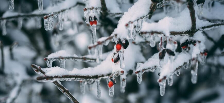 В Україні на вихідних вдарить до 18 градусів морозу: синоптикиня розповіла, де буде найхолодніше. Карта В Україні на вихідних вдарить до 18 градусів морозу: синоптикиня розповіла, де буде найхолодніше. Карта