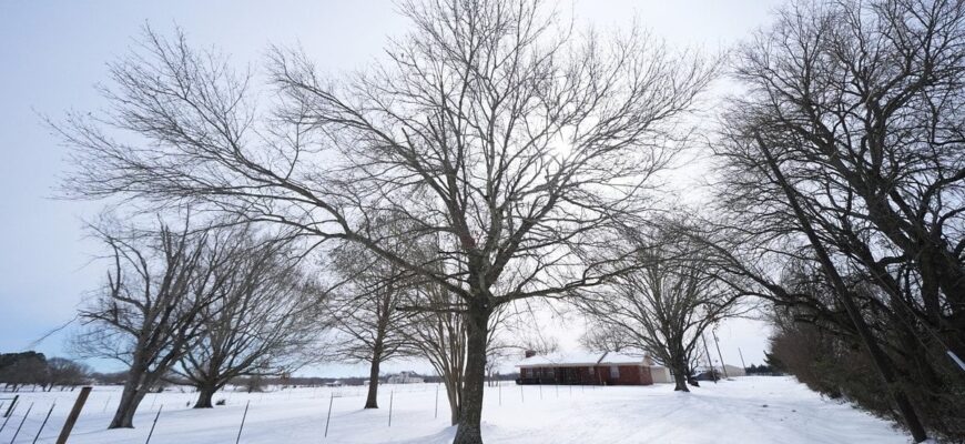 Погода на 31 січня: коли буде пік морозів і які області стануть найхолоднішими в Україні