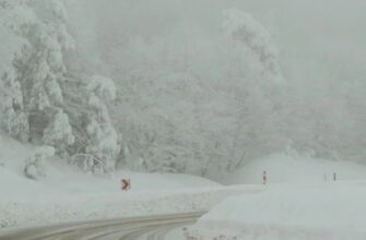 Трагедія на Підкарпатті: 36-річний чоловік замерз за кілька метрів від дому, його тіло помітили через відеоспостереження з Англії