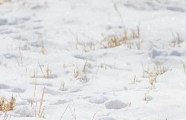 Морозний антициклон відступає з України: названо дату відчутного потепління