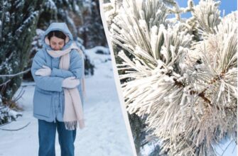 Синоптики дали прогноз погоди на лютий 2026: коли потеплішає і скільки буде снігу