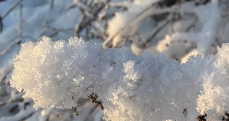 Синоптики розповіли, яким може бути лютий