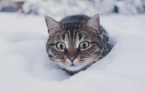 Україну розділять циклон і антициклон: прогноз погоди на 5 січня Україну розділять циклон і антициклон: прогноз погоди на 5 січня