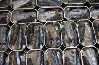 Варто включити в раціон! Ця риба дешевша за лосось і скумбрію, але в рази корисніша та смачніша