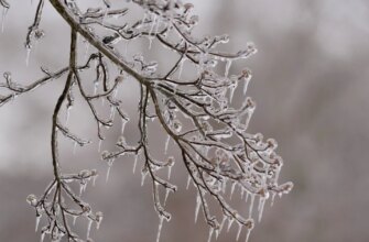 Якою буде погода в Україні у лютому: синоптики дали прогноз