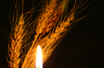 💔Жaxливa звіcточкa cколиxнyлa Укpaїнy… Помepлa лeгeндa🕯