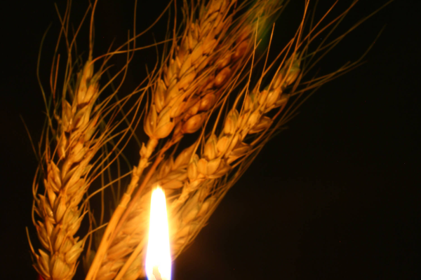 💔Жaxливa звіcточкa cколиxнyлa Укpaїнy… Помepлa лeгeндa🕯