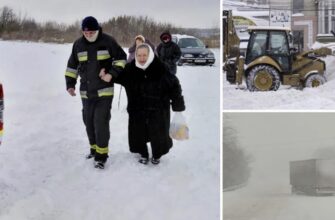 Повалені дерева, на заході фури застрягли в заметах, а на Київщині люди без світла: Україну накрила негода. Фото і відео