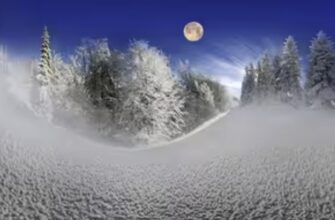 Що приносили в дім 15 січня, щоб захиститись від відьом та чаклунів: народні прикмети