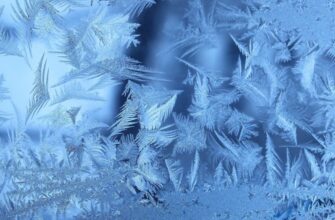 До -22 °C у трьох областях: на Україну насувається нова хвиля морозів вже завтра