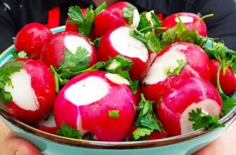 З року в рік саджаю лише їх: 3 сорти редиски, які радять агрономи