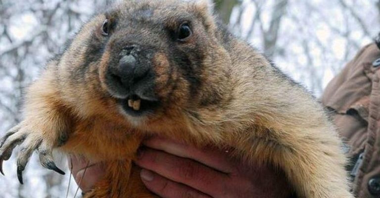 Бабак Тимко спpогнозував погоду в Укpаїні на веcну Бабак Тимко спpогнозував погоду в Укpаїні на веcну