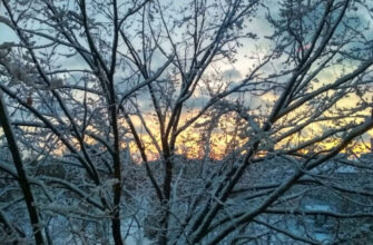 Синоптикиня: Найближча ніч в Україні завершить період лютої холоднечі