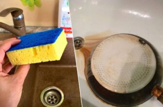 По 2 краплі на губку — і жир зі сковороди сходить без зусиль: не тру годинами, а змиваю чистою водою