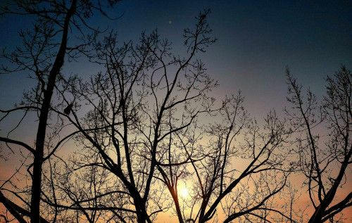 Поки в Україні побуде тепла волога погода, але можливе наближення помірного похолодання, – синоптикиня Поки в Україні побуде тепла волога погода, але можливе наближення помірного похолодання, – синоптикиня