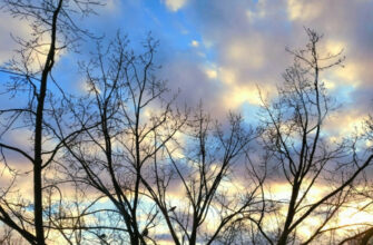 "Попереду – цікава синоптична ситуація". Наталка Діденко розповіла про погоду на найближчий час 