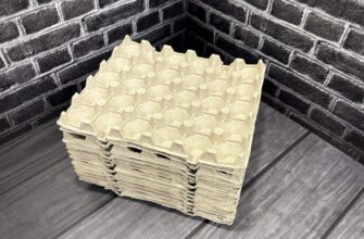 Картонні лотки від яєць рятують не лише город: 5 зимових способів, які реально працюють і допомагають