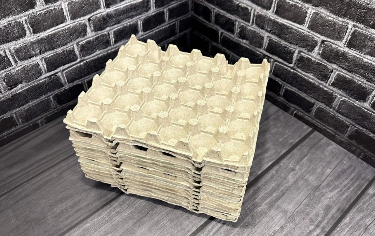 Господині розповіли, як у побуті використовувати паперові лотки з-під яєць. Фото: скриншот з відео