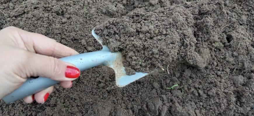 Секретна добавка з кухні для ґрунту: додала 1 ложку у відро – розсада товста і міцна без витрат