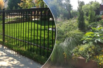 Наш новий і красивий паркан “покосило”: виявилось — причина в цих 2 рослинах, які підіймають фундамент