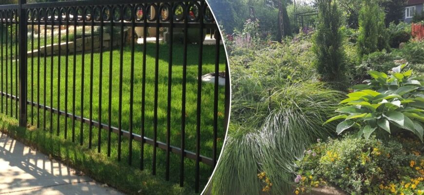 Наш новий і красивий паркан “покосило”: виявилось — причина в цих 2 рослинах, які підіймають фундамент Наш новий і красивий паркан “покосило”: виявилось — причина в цих 2 рослинах, які підіймають фундамент