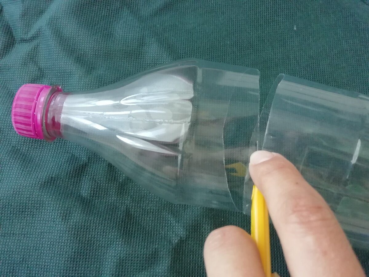 Експерти порадили, як зробити зі старих пластикових пляшок теплий щит для молодої розсади