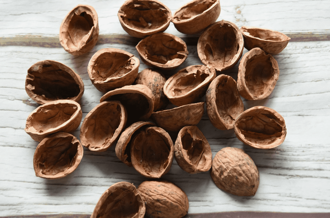 Городники розповіли, як використати горіхове лушпиння на городі Городники розповіли, як використати горіхове лушпиння на городі