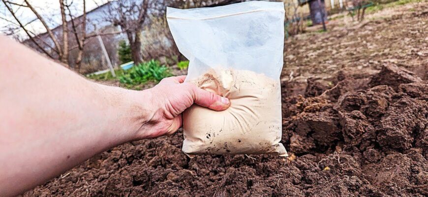 Забула про тонни гною: удобрюю грядки цими 3 звичайними крупами – працюють у 1000 разів краще за “хімію”