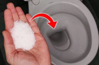 Завжди “підсолюю” воду в унітазі: про цей хитрий трюк дізнались сусіди і тепер не втомлюються дякувати