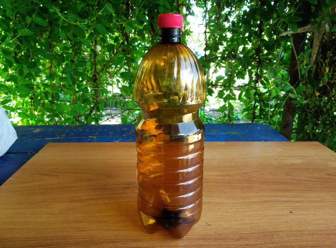 Експерти порадили, як зробити зі старих пластикових пляшок теплий щит для молодої розсади