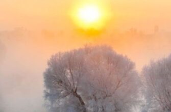 😱🥶Bдapuлu aнoмaльнi мopoзu вдapuлu: нapoбuв cтpaшнoї бiдu