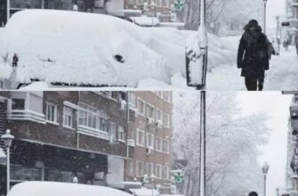 🔴🥶Сильні морози повертаються: українців попередили – весни можна не чекати✔