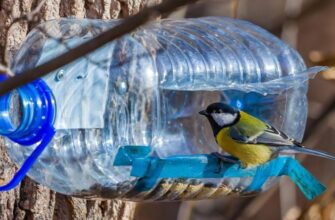 Не кладіть в годівничку ці 3 продукти: ось чим підкормити птахів під час лютневих морозів