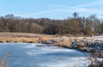 До України суне негода: де вдарять морози та засипле снігом