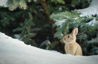 До України йде поступове потепління: як довго воно триватиме